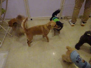 DSC06563.jpg