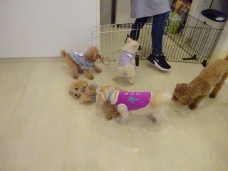 DSC06764.jpg