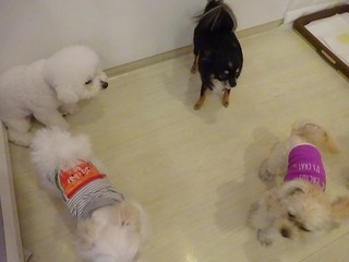 DSC06800.jpg