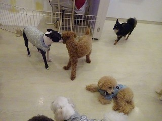 DSC06861.jpg