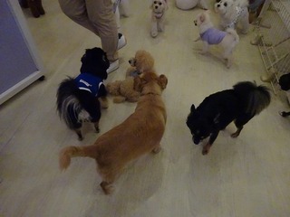 DSC06870.jpg