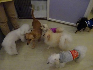 DSC06874.jpg