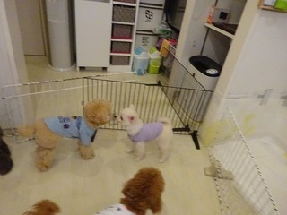 DSC06895.jpg