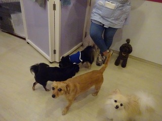 DSC06905.jpg