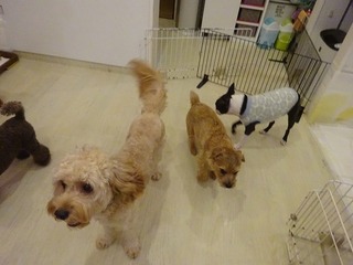DSC07035.jpg