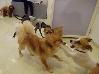 DSC07088.jpg