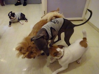 DSC07089.jpg