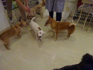 DSC07127.jpg