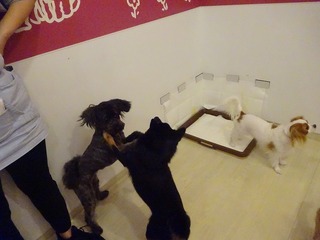 DSC07201.jpg
