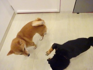 DSC07214.jpg