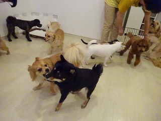 DSC07216.jpg
