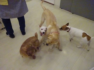 DSC07234.jpg