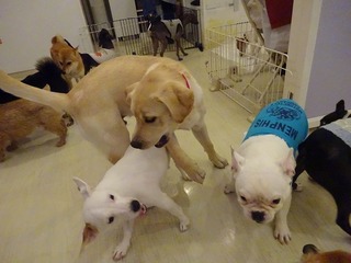 DSC07264.jpg