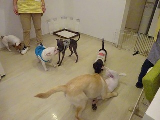 DSC07275.jpg