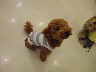 DSC07300.jpg