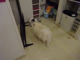 DSC07304.jpg