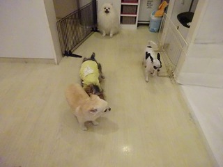 DSC07313.jpg