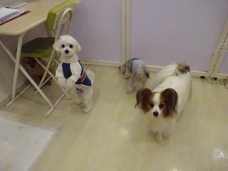 DSC07338.jpg