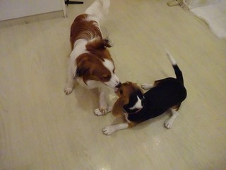 DSC07356.jpg