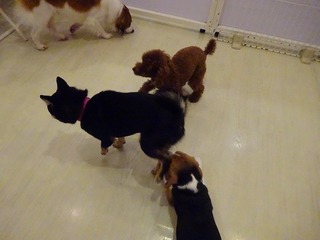 DSC07368.jpg