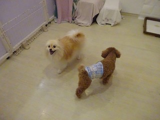 DSC07376.jpg