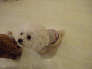 DSC07390.jpg