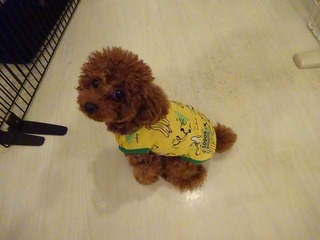DSC07400.jpg