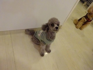 DSC07401.jpg
