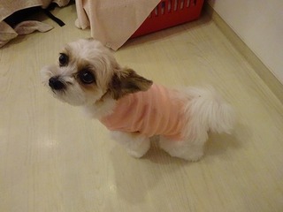DSC07415.jpg
