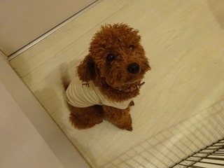 DSC07421.jpg
