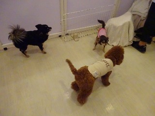 DSC07422.jpg
