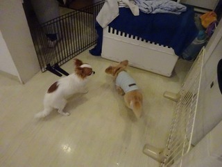 DSC07437.jpg