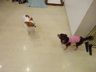 DSC07441.jpg