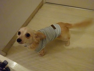 DSC07448.jpg