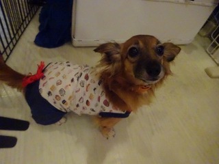 DSC07454.jpg