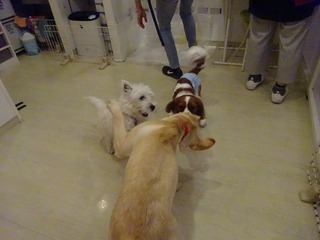 DSC07489.jpg