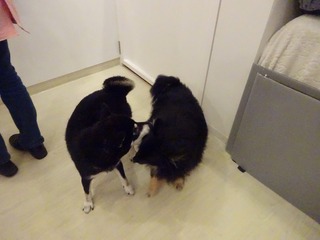 DSC07551.jpg