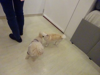 DSC07561.jpg