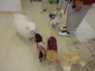 DSC07563.jpg