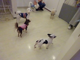 DSC07571.jpg