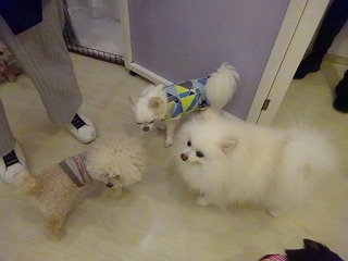 DSC07587.jpg