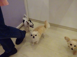 DSC07590.jpg