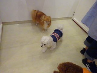 DSC07600.jpg