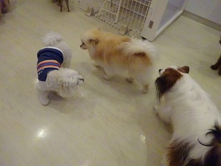 DSC07607.jpg
