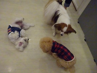 DSC07609.jpg
