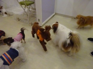 DSC07611.jpg