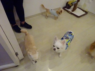 DSC07617.jpg