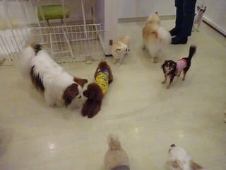 DSC07640.jpg