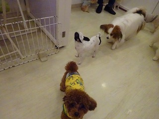 DSC07648.jpg