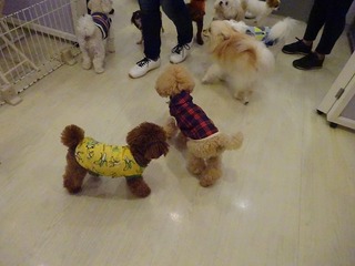 DSC07657.jpg